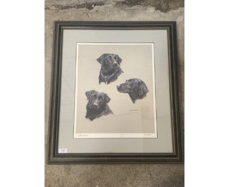 Gill Evans, Labrador, limited edition print numbered 72/575, signed bottom left (49 x 38cm)