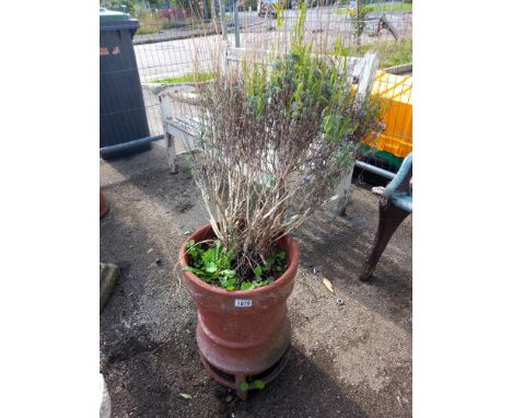 A terracotta chimney planter, 47cm high COLLECT ONLY.