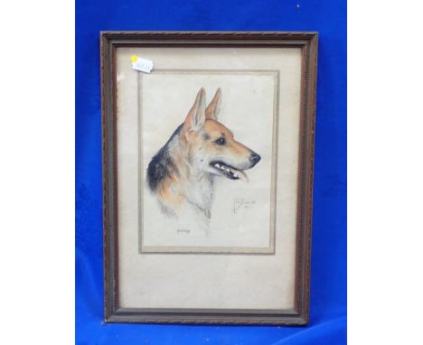LILY SMITH: PORTRAIT OF AN ALSATIAN DOG 'PATSY' mixed media, 1931