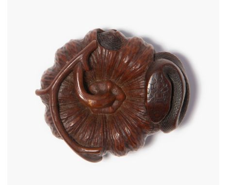 Holz-Netsuke von TadayoshiJapan, 19.Jh. Holz, dunkel gebeizt. Unleserlich signiert in rechteckiger Reserve. Eine Schlange win