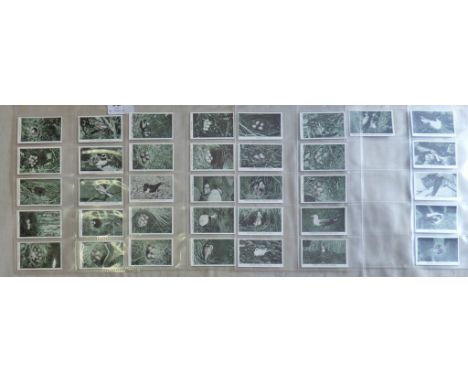 R S Challis & Co Ltd Wild Birds at Home Baldric 1935 set 36/36 VG/EX