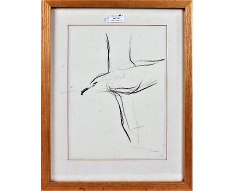 Jason Gathorne-Hardy, charcoal sketch of a seagull, 29cm high x 20.5cm wide, housed in a modern glazed frame