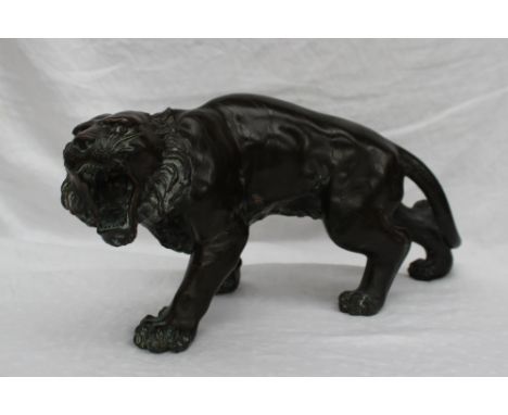 A Japanese bronze model of a male tiger its head to one side with teeth bared, two seal marks to the underside, 35cm long