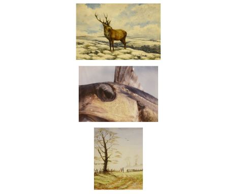Frances Fry - Watercolour - A stag in a moorland setting, signed lower right, 26cm x 37cm, together with an oil on board by R