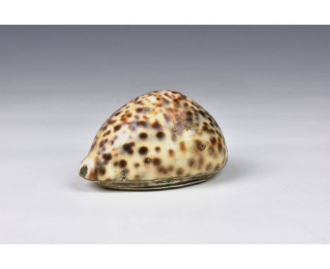 A Georgian white metal mounted cowrie shell snuff box, unmarked, tested silver, the hinged lid opening to reveal void for sto