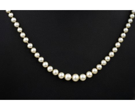 An antique single strand pearl necklace, c.1900, possibly Scottish pearls, the pearls graduated from 2mm. to 5mm., 19¾in. (49