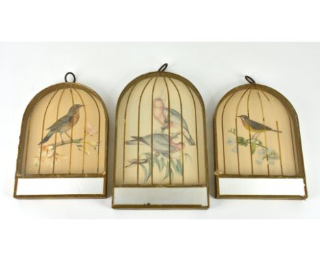 Three unusual Victorian bird prints in birdcage frames, comprising a pair with a chromolithograph scrap of a bird, the third 