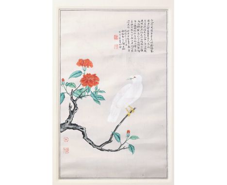 An antique Chinese watercolour on silk of a bird, probably 19th century, the white feathered bird perched upon a peony branch