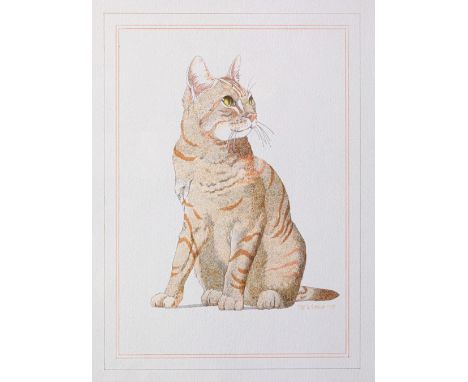 Peter Le Vasseur (Guernsey, b.1938), Portrait of a ginger cat watercolour, pen and ink, signed and dated 1978 lower right 14½