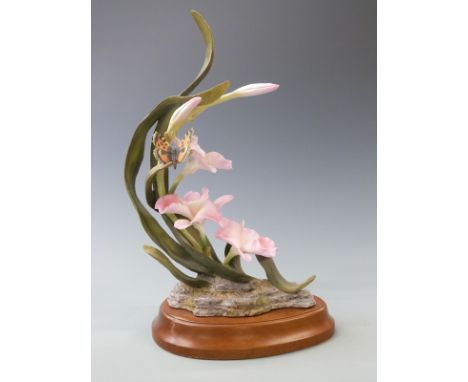 Royal Worcester ornamental studio orchid with butterfly, on fitted wooden plinth, not numbered so probably not part of the or