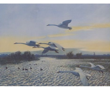 Peter Scott signed print 'North Wind Bewick Swans', 44 x 55cm, with original receipts and invitation to a viewing evening at 