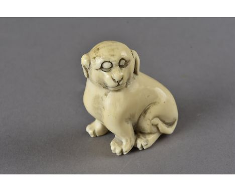 A Meiji period signed Japanese ivory netsuke, modelled as a pug dog, seated, indistinctly signed to base, 4.3 cm high x 3.2 c