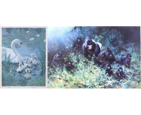 After David Shepherd (British, 1931-2017): a a signed limited edition print 'The Mountain Gorillas of Rwanda', signed and num