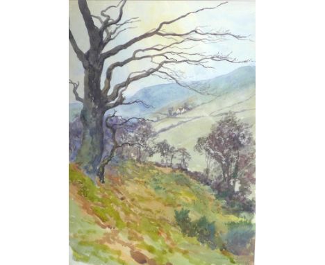 Harold Gilbert FRSA (British, late 19th / early 20th century): 'A Study of Trees near Hayfield', signed and dated lower right