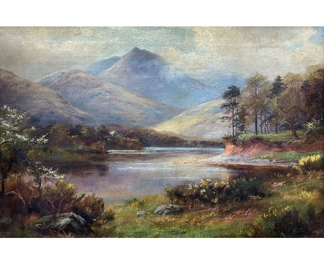 William Lakin Turner (British 1867-1936): Lake District Tarn, oil on canvas signed and dated 1903, 29cm x 43cmCondition Repor