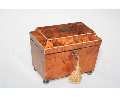 19th Century tortoiseshell twin compartment tea caddy on bun feet.
