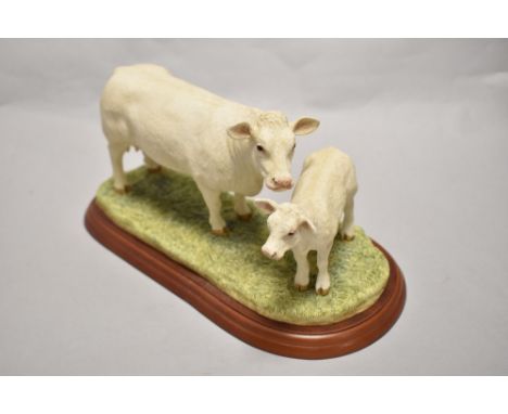 A Border Fine Arts 'Cattle Breeds' Charolais Cow &amp; Calf group, c2002, model number A1249, on moulded mahogany plinth 25cm