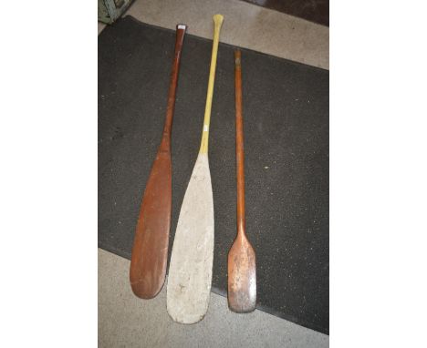 Three Canoe Paddles 