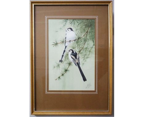 A selection of five assorted pictures, including a watercolours of Long Tailed tits; Ducks in winter; Hen Harriers over a moo
