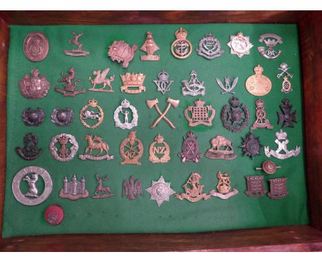 A GLAZED DISPLAY CASE CONTAINING FORTY SIX BRITISH ARMY CAP BADGES, 33 CM X 48 CM 