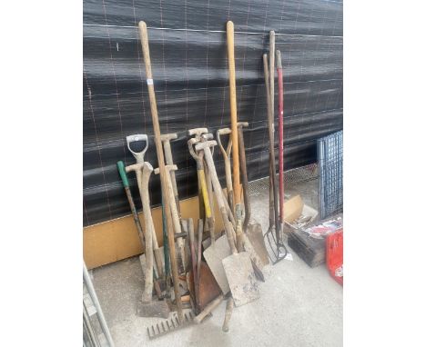 A LARGE ASSORTMENT OF GARDEN TOOLS TO INCLUDE SPADES, AXES AND SHEARS ETC 