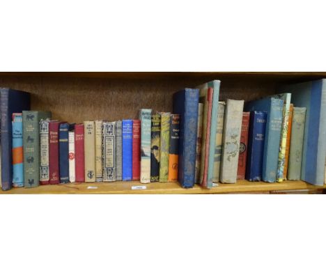 A shelf of English travel books, novels etc