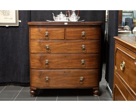 antique English Regency chest of drawers in mahogany with typical lion's head gripsAntieke Engelse Regency-commode met gegalb