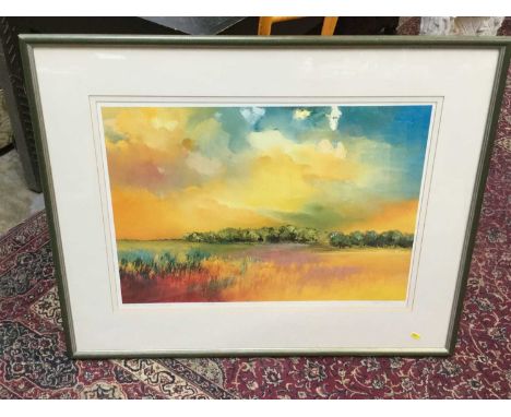 Hans Paus, signed limited edition print of Holland, no. 335 of 500, mounted in glazed frame