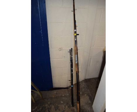 Two various fishing rods
