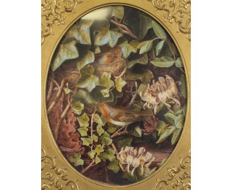 Late 19th century English school - A robin's home, watercolour, framed as an oval, 40 x 32cm, later annotated verso as being 