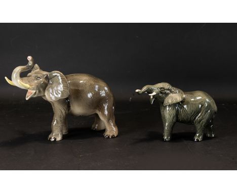 Beswick Elephant Figure with ' Trunk ' Stretching. Model No 974. Designer A. Gredington. Height 4.75 Inches - 12 cm. Excellen