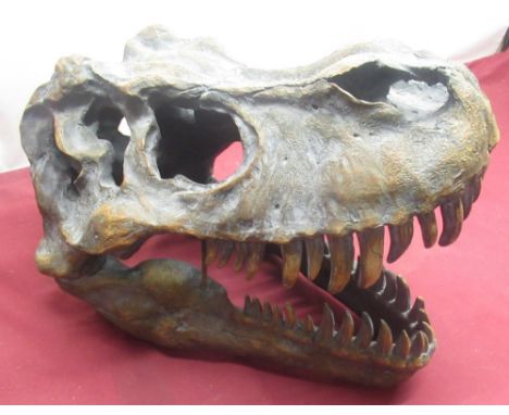 Tyrannosaurus replica skull (wall mounted) 