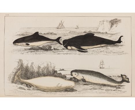 NO RESERVE Goldsmith (Oliver) A History of the Earth and Animated Nature, 2 vol., portrait frontispiece, additional engraved 