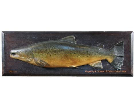 A George V carved wood salmon trophy, naturalistically painted and mounted to backing board with the text '19lb 7oz, Caught b