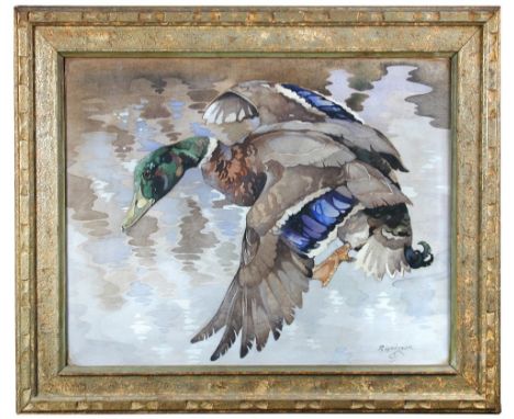 § Ralston R B Gudgeon, RSW (British, 1910-1984) Mallard taking flight signed lower right "R Gudgeon" and with lion's head ske