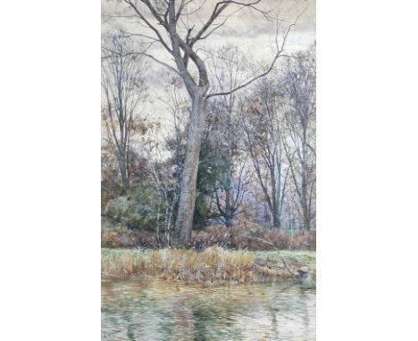 Robert Winchester Fraser (British, 1848-1906) Autumn signed lower left "R W Fraser '81" watercolour 54½ x 34½cm (21 x 13in)  