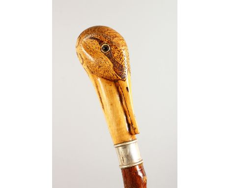 A WALKING STICK, the handle carved as a bird. 50ins long.
