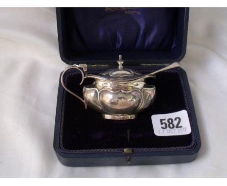 Boxed boat shaped mustard pot also a spoon Birm         