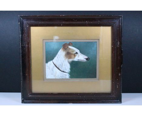 Early 20th century English school, portrait study of a dog, oil, 13 x 18cm, framed and glazed