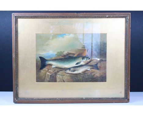 Study of a salmon and trout fisherman's catch in a traditional setting, oil on panel, 16.5 x 24cm, framed and glazed