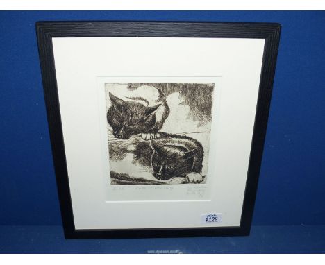 "Lola Dreaming", an etching of cats, indistinctly signed in pencil, 13 1/2" x 15 1/4".