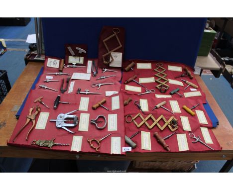 A quantity of corkscrew designs.
