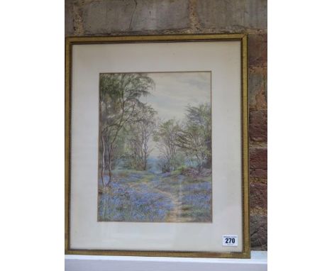 Watercolour bluebell woodland, signed Edith Martineau, in a gilt frame, frame size 47cm x 39cm, some wear to frame but painti