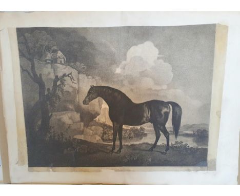 Antique 19thC print of Marske by George Stubbs, unframed 