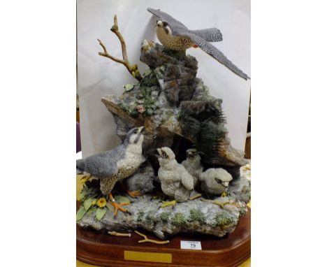 A LARGE BORDER FINE ARTS CERAMIC SCULPTURE ENTITLED 'CALL OF THE FALCON' ON PLINTH SIGNED 'AYRES' VERSO 30/200 A/F H - 64CM 