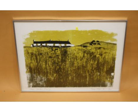 PHILLIP WALKER - A SIGNED LIMITED EDITION PRINT ENTITLED 'COTTAGES LLADDONA ANGLESEY' 9/20 SIZE 77CM X 57CM 