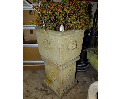 A STONE GARDEN PLANTER WITH LION DETAIL PLUS CONTENTS ON BASE