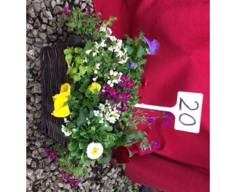 Planter basket (20)