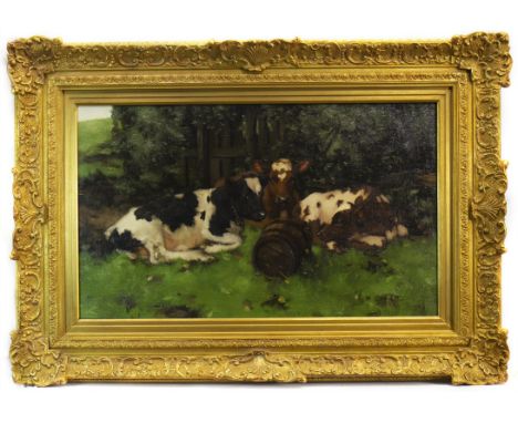 DAVID GAULD RSA (SCOTTISH 1865 - 1936), THREE CALVES RESTING oil on canvas, signed 46cm x 76cm Framed. Note: David Gauld (7 N
