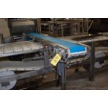 Motorized Belt Conveyor, 9 ft. Length x 10 in. Wide Belt, 208-230/460 Volt, RIGGING FEE: $278.70